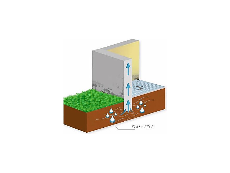 Schéma : l'eau et les sels du sol remontent dans le mur